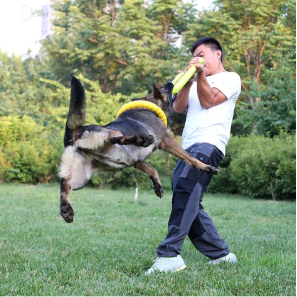 Juguete de disco masticable para perros