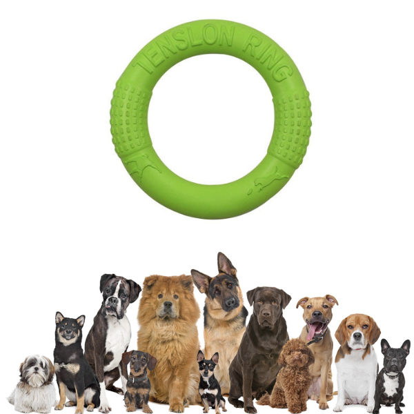 Juguete de disco masticable para perros