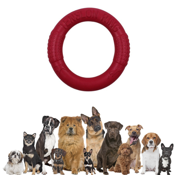Juguete de disco masticable para perros