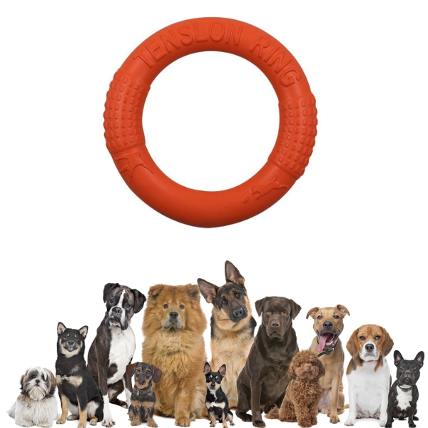 Juguete de disco masticable para perros