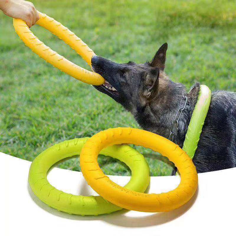 Juguete de disco masticable para perros
