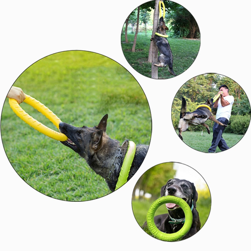 Juguete de disco masticable para perros