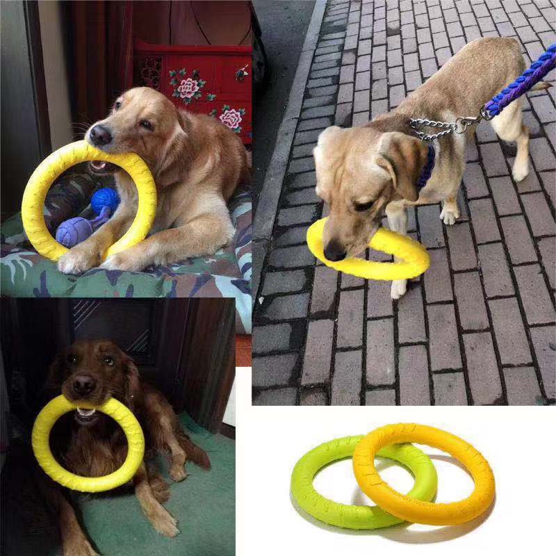 Juguete de disco masticable para perros